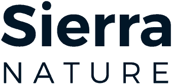 deutschstudio.online